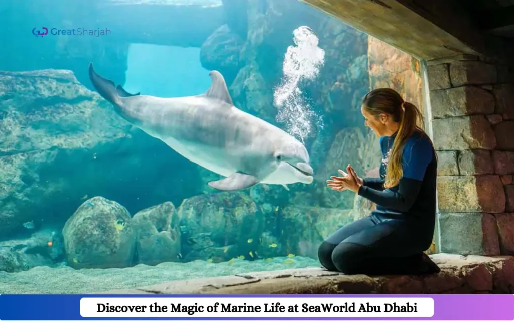 seaworld Abu Dhabi